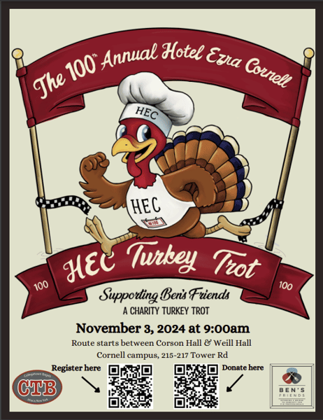 Turkey Flyer