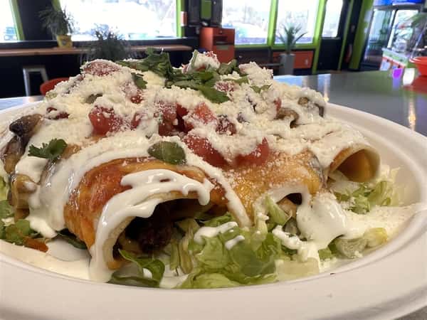 Trio Steak and Mushroom Enchilada