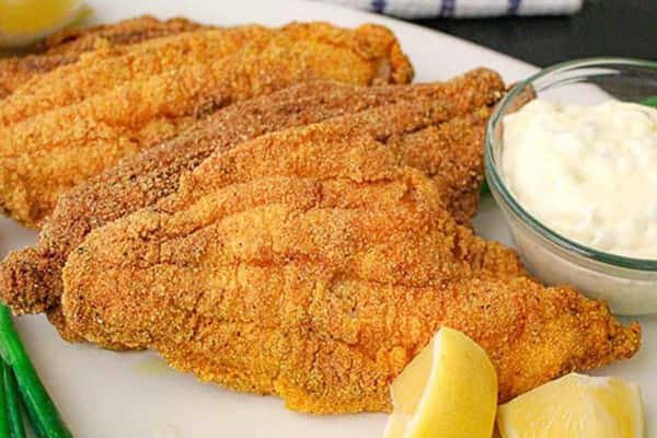 Lrg Catfish