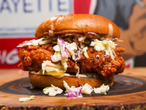 chicken sandwich