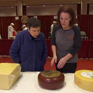 marieke and cbs news woman