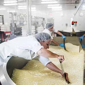 MARIEKE MAKING CHEESE