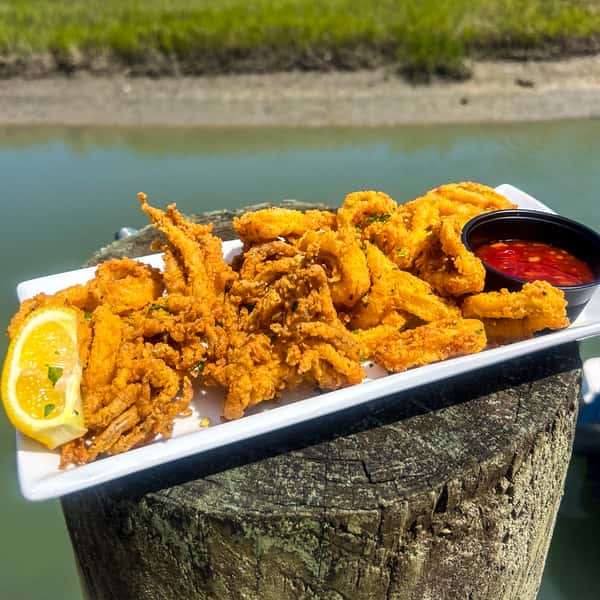 Fried Calamari