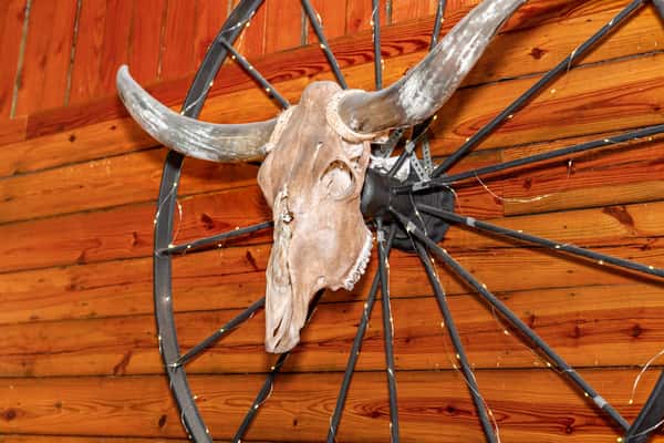 Mounted steer skull with large horns displayed on a rustic wagon wheel against a wooden plank wall, accented with string lights.