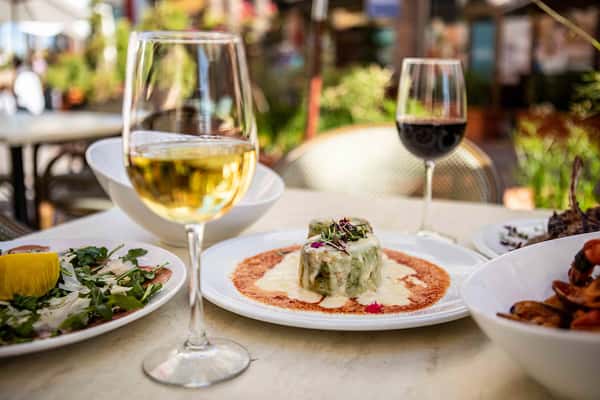 A refined dining scene featuring a plated Italian entrée with creamy sauce and herbs, paired with glasses of white and red wine for an elegant experience.