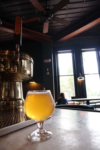 Rev Bailee's Hibiscus Cream