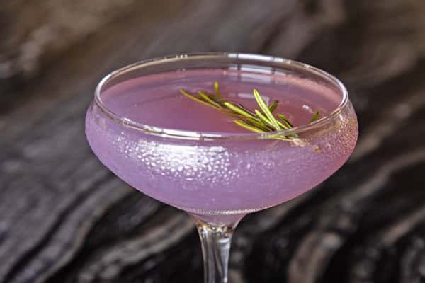 Violet Tendencies