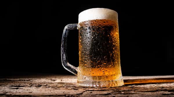 Modela Especial Draft