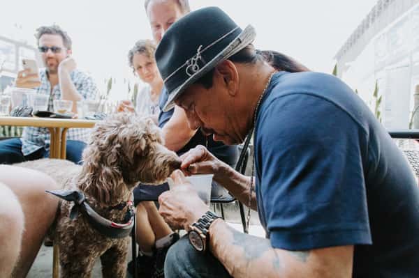 Danny Trejo feeding a dog a treat from Trejos Tacos