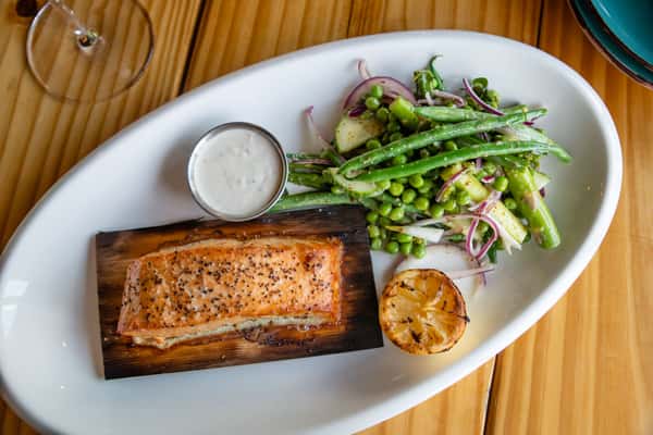 SALMON