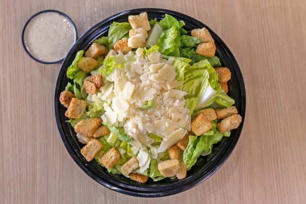 Caesar Large