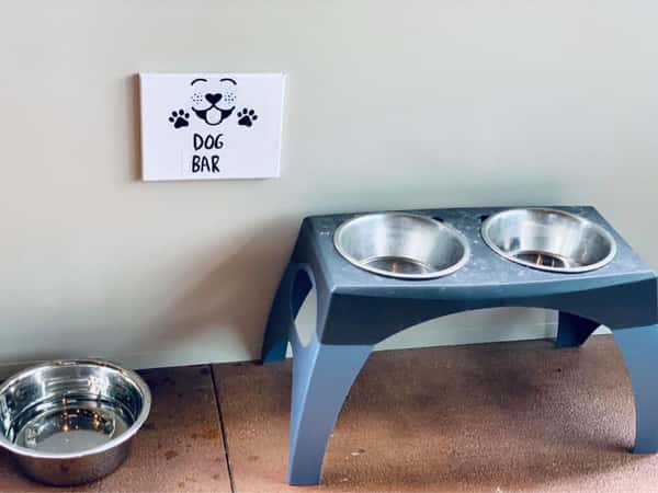 dog feeding bowls