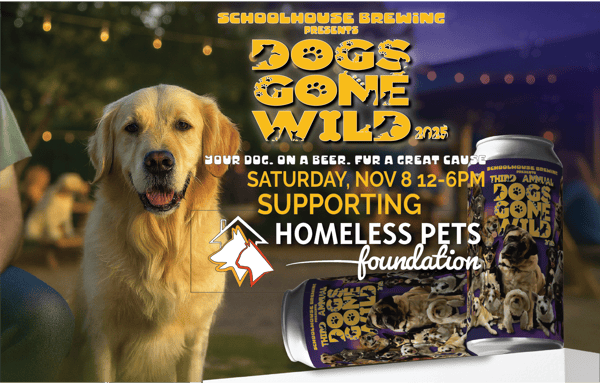 A golden retriever sits happily at Schoolhouse Brewing’s outdoor patio during sunset, surrounded by string lights and people at picnic tables. The dog looks toward the camera, bathed in warm golden light, capturing the community spirit of the Dogs Gone Wild 2025 charity event benefiting the Homeless Pet Foundation.