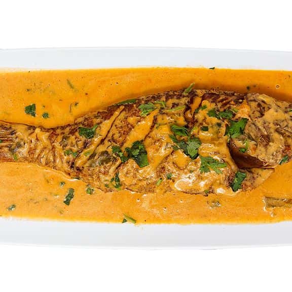Pargo Ent. Salsa Coco Small