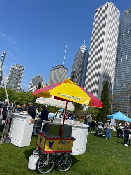 Maggie Daley Park and Tubby Bear Co.
