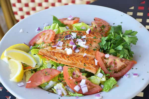 Salmon