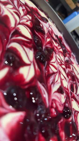 Whole Blueberry Cheesecake