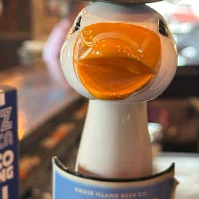 Goose Island Neon Beer Hug