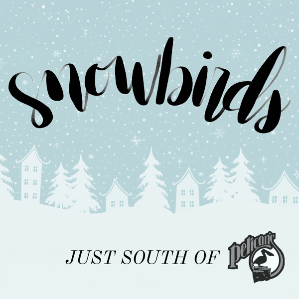 Snowbirds at Pelican’s