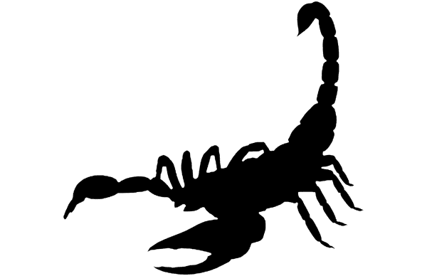 Scorpion