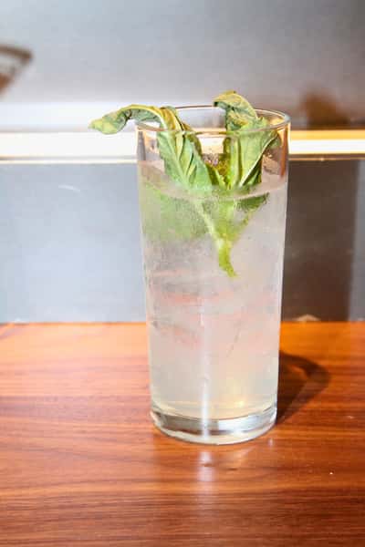 Garden Tonic