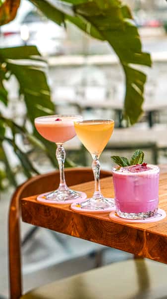 Conniption Cocktails