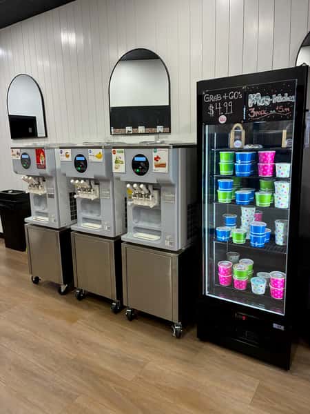 Interior of a modern frozen yogurt shop featuring self-serve froyo machines and a refrigerated display stocked with colorful grab-and-go pints – clean, bright dessert café setup with takeout options and family-friendly ambiance.
