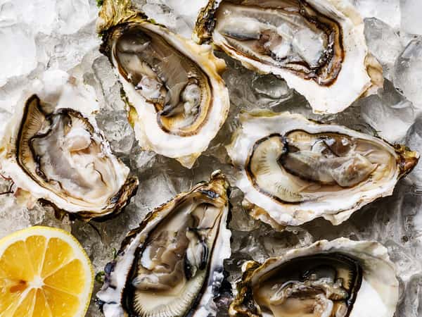 Oysters On The Half Shell Dinner Tutti Mangia Italian Chophouse