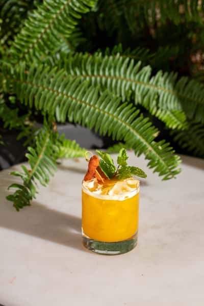 cocktail sitting on a table next to fern plant