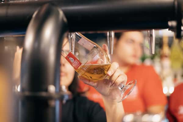 bartender pouring a pint of madri