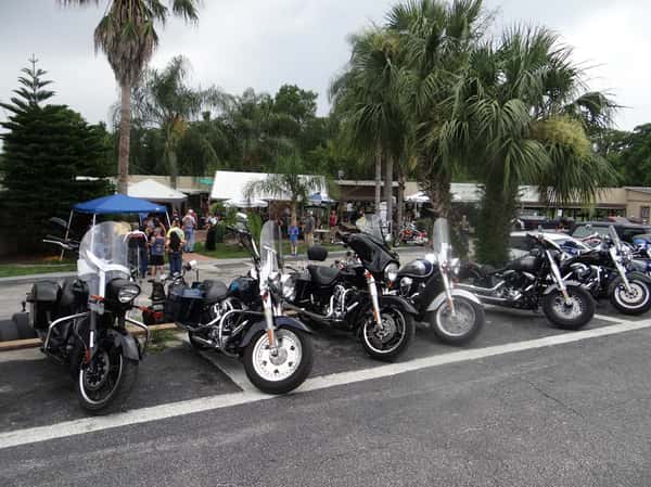 gator-bay-061