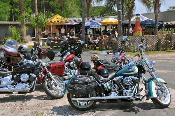 gator bay bikes and the patio