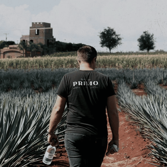 PRIMO 1861