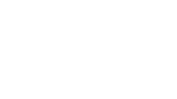 SDD Logo Blanco Mediano
