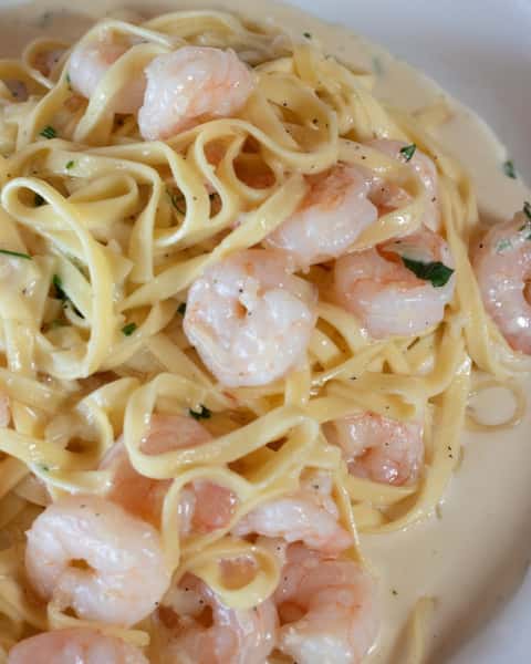 Pasta Alfredo with Shrimp