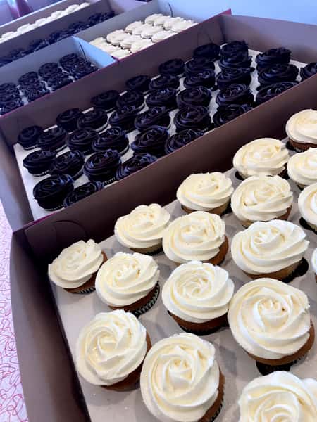 boxes of cupcakes