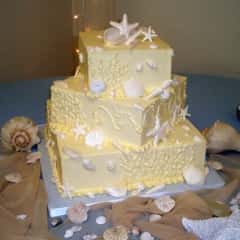 cake with shells
