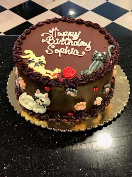 cat cake