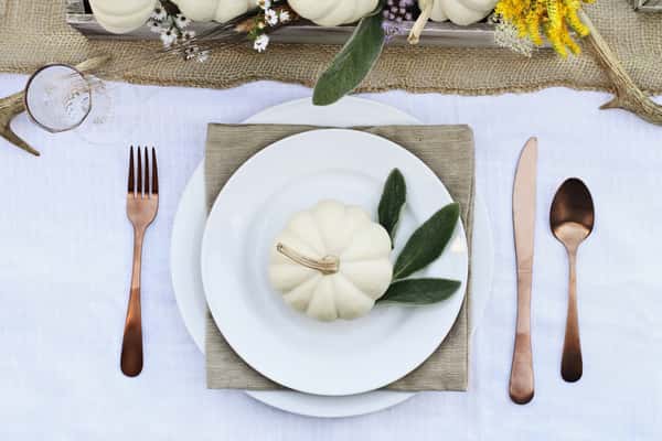 Thanksgiving place setting. white pumpkin on plate
