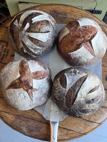 Artisan sourdough bread loaves with decorative scoring patterns