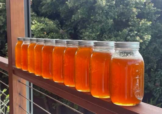 Santa Barbara Hives Honey Harvest