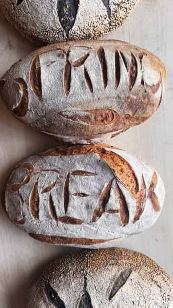 Loaves of sourdough bread with "SPRING BREAK" carved into the crust