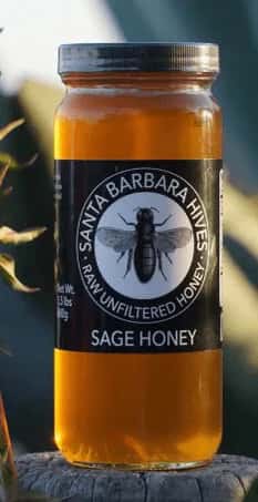 Santa Barbara Hives sage honey jar placed outdoors in natural daylight
