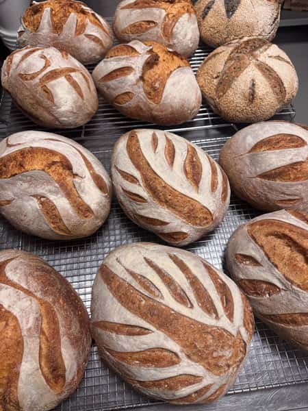 Organic Sourdough
