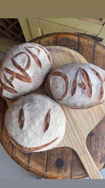 Classic Sourdough Loaves