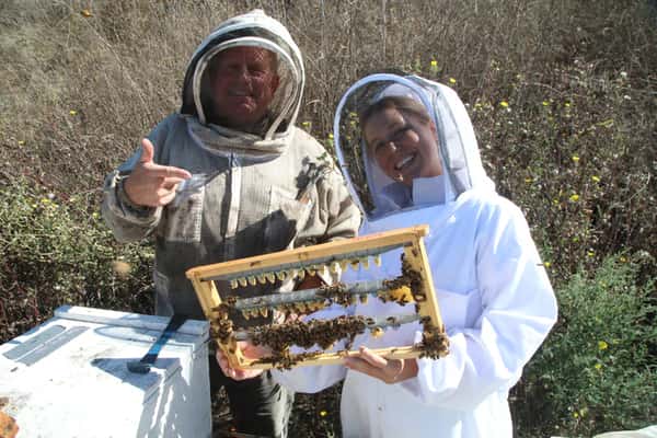 Beekeeper holding a honeycomb frame filled with bees