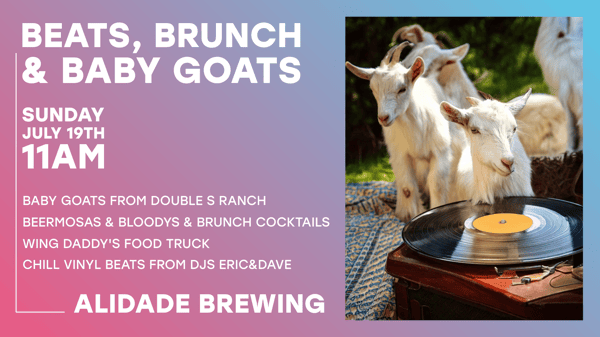 baby goats