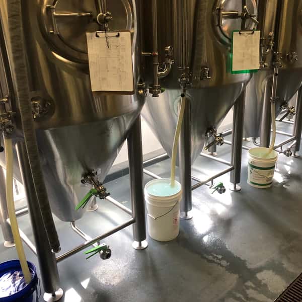 Stainless steel fermentation tanks at Alidade Brewing actively transferring craft beer during the brewing process, showcasing the brewery's production and quality control operations.