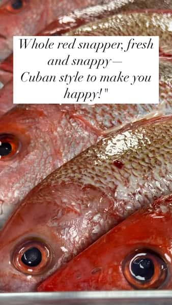 Not into bones? Don’t walk away—
We’ve got grilled filets to save your day! #redsnapper #wholesnapper #bellairetx #cubanstyle #cubanfood #pargofrito #grilledsnapper #cubancravings #cubanfoodie #houstonfoodies #houstonfoodbloggers #paprellena #yucafrita