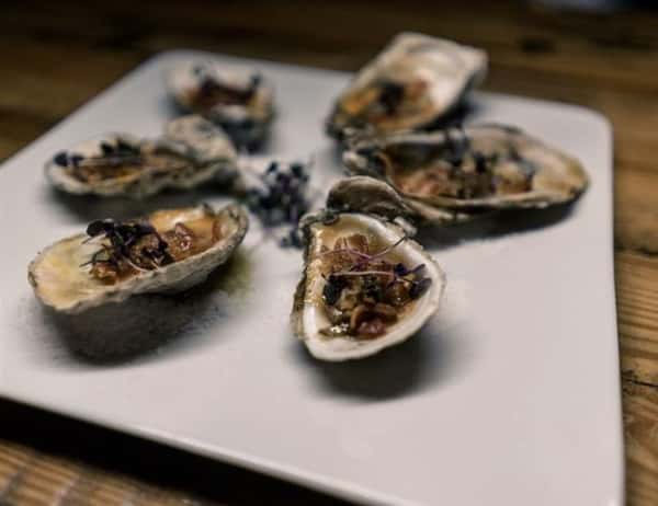 oysters on the half shell on a plate